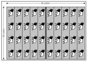 Vol 36.22 Image1