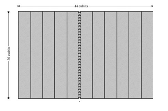 Vol 36.22 Image2